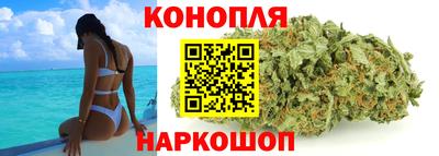 гидропоника Камышлов