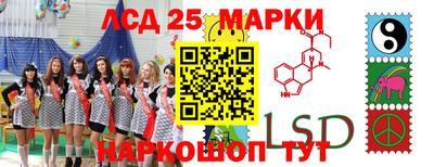 гидропоника Камышлов
