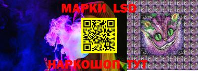 гидропоника Камышлов