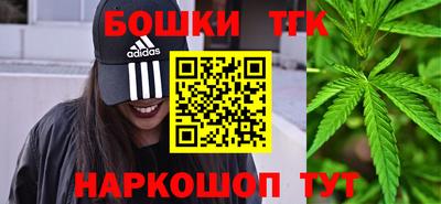 гидропоника Камышлов