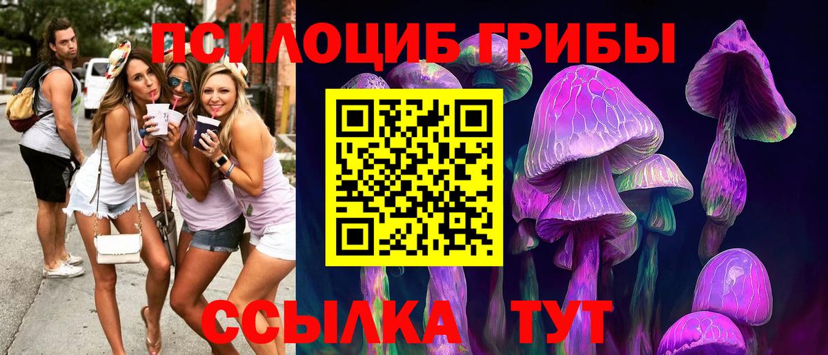 Псилоцибиновые грибы ЛСД Кулебаки
